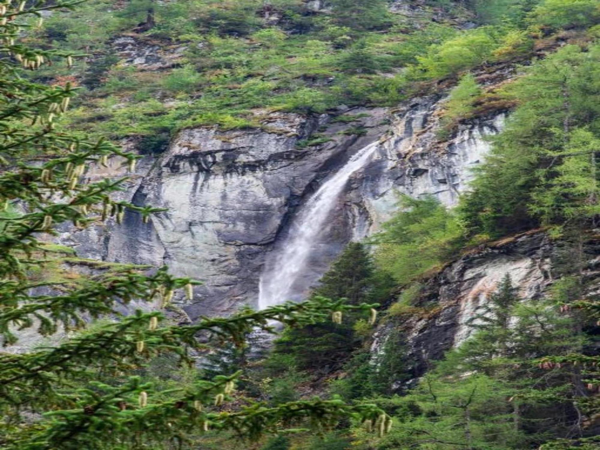 Apartment In W Ngle Tyrol With Walking Trails Near 罗伊特 外观 照片