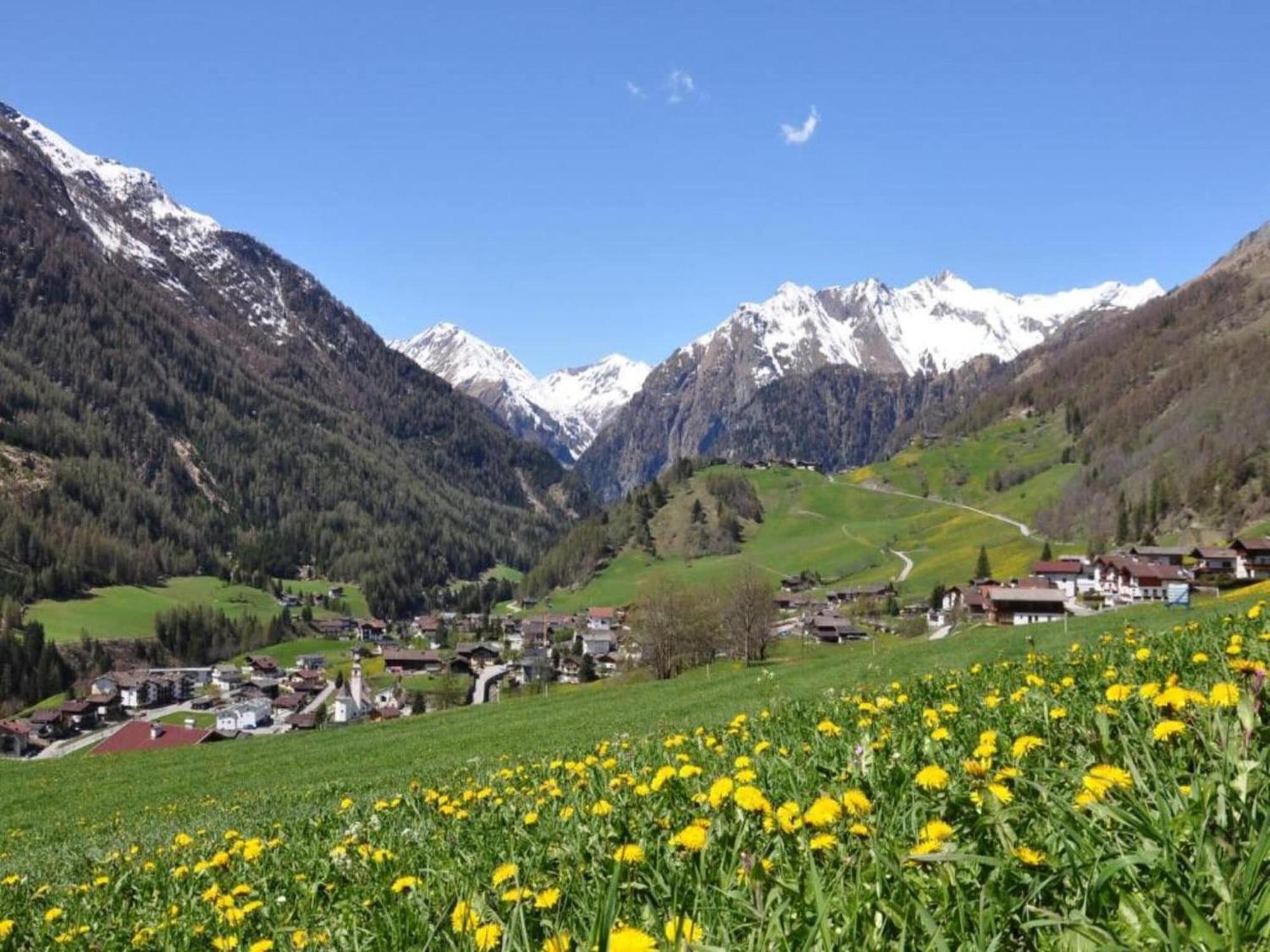 Apartment In W Ngle Tyrol With Walking Trails Near 罗伊特 外观 照片