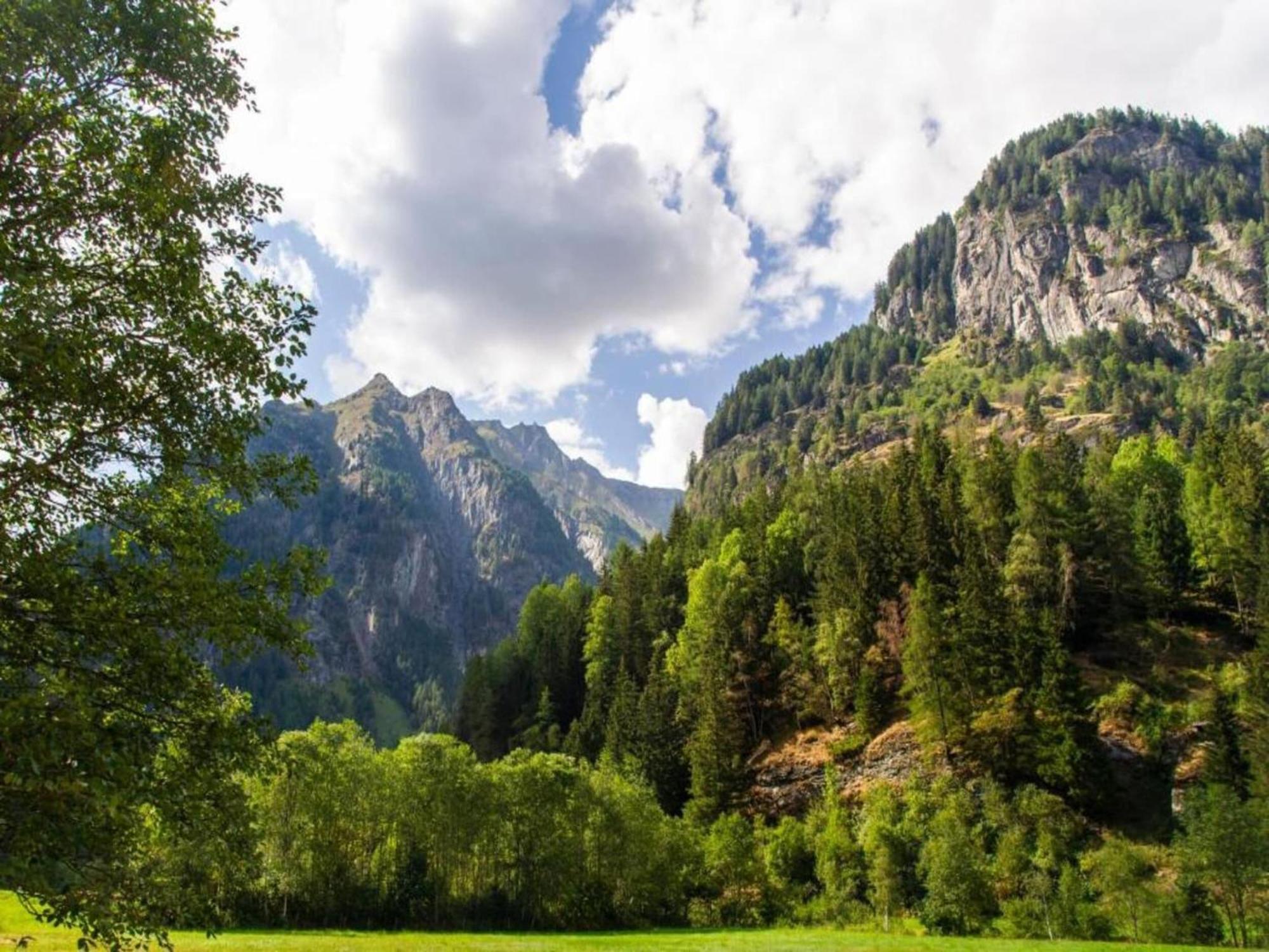 Apartment In W Ngle Tyrol With Walking Trails Near 罗伊特 外观 照片