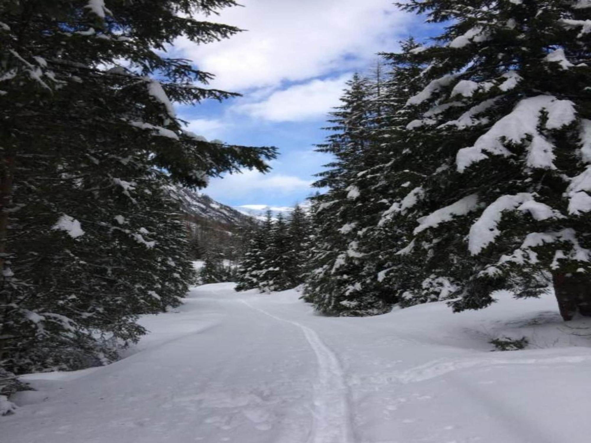 Apartment In W Ngle Tyrol With Walking Trails Near 罗伊特 外观 照片